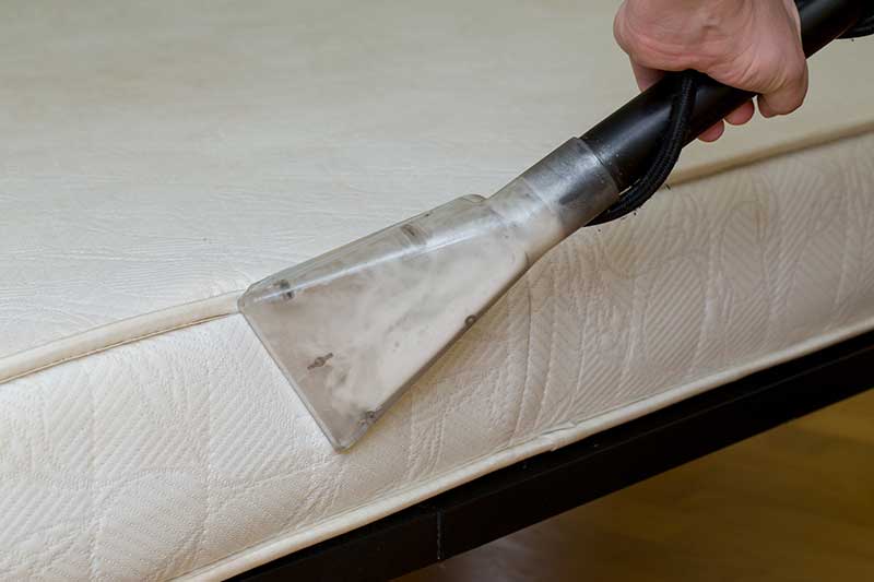 mattress cleaning service