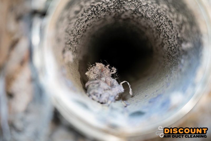 Dryer Vent Cleaning